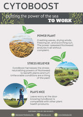 CytoBoost 0-0-4